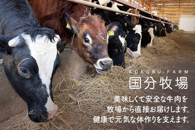 埼玉県産　焼肉　埼玉県東松山市　焼肉　焼肉　国産牛　焼肉　セット　焼..　【　牛肉　赤身　焼肉セット　1900g　国分牧場　牛肉　国産　【焼肉用1900g】国分牧場　ふるさと納税　1.9kg